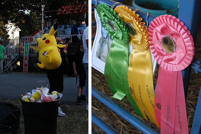 The great frederick fair