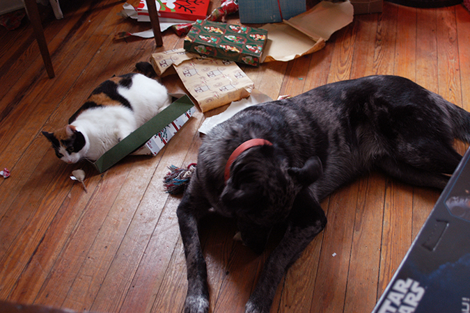 christmas morning